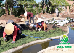 Vườn Cỏ Nhung Nhật quảng cáo VIP MuaBanNhanh chuyên thi công, chăm sóc bảo dưỡng công trình cỏ