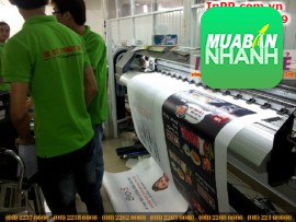 Giải pháp in pp giá rẻ dùng trang trí showroom quảng cáo