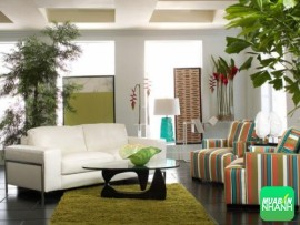 Tư vấn mua bán nhà đất Quận 7 Phường Tân Hưng